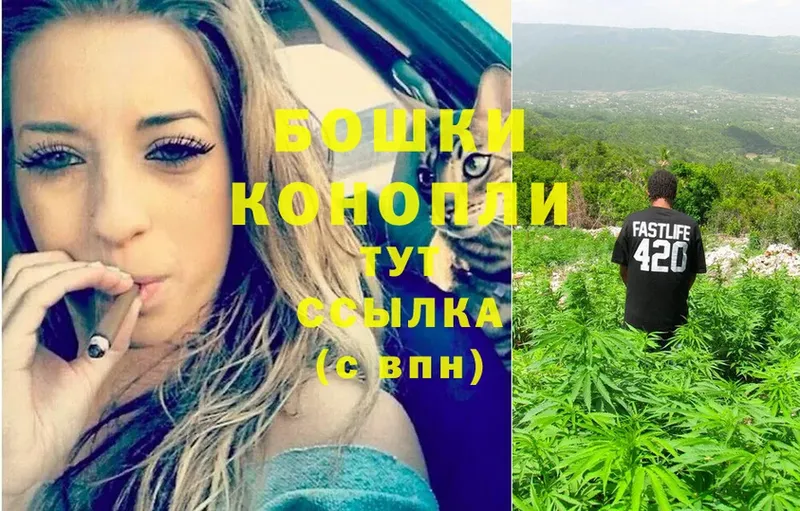 Марихуана White Widow  как найти наркотики  Нефтегорск 